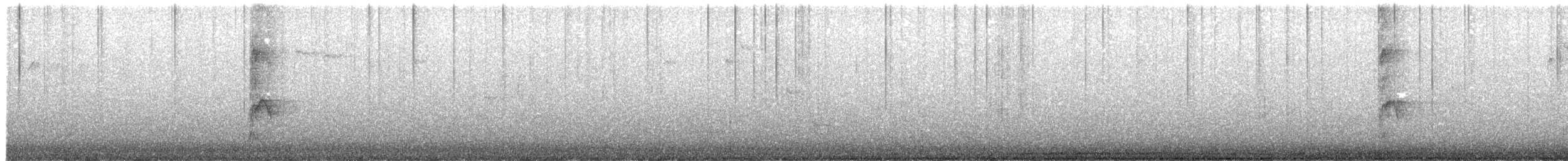 Black-billed Magpie - ML646698725