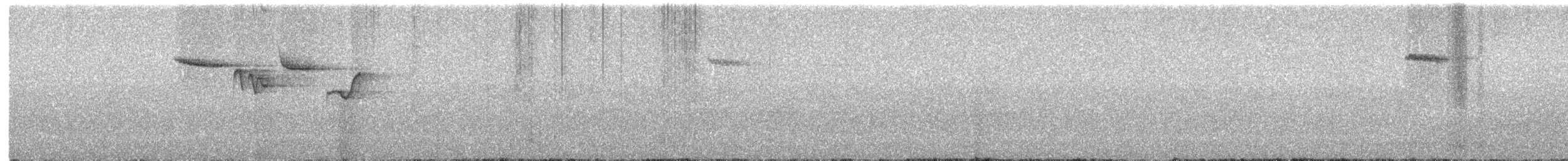 Brown Creeper - ML646699128