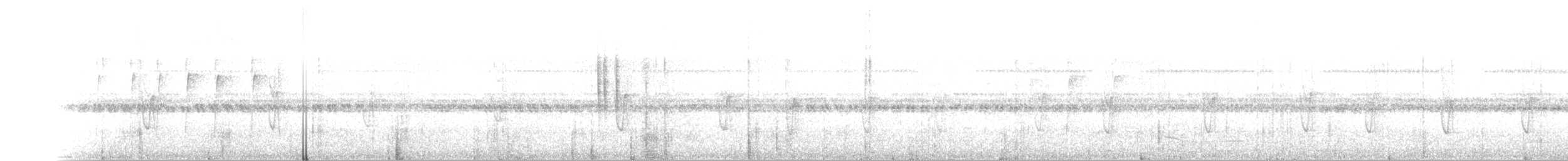 ムナジロオナガカマドドリ - ML646699143