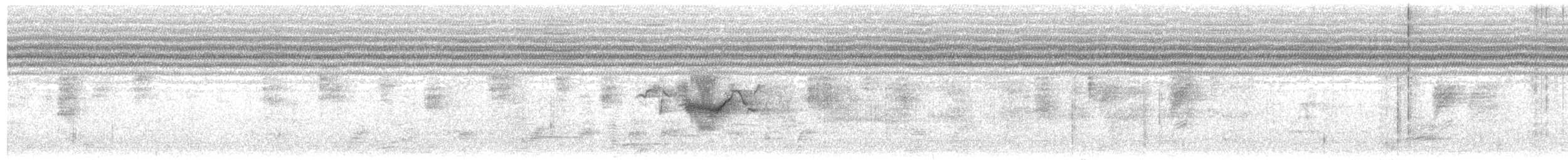 Meyer's Parrot - ML646699188