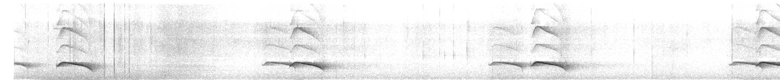 Ocellated Tapaculo - ML646699222