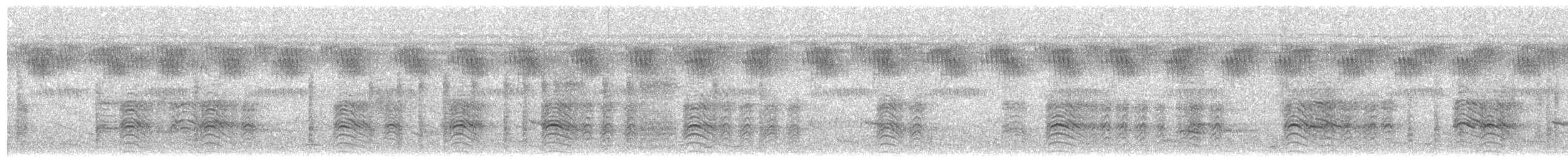 Hartlaub's Babbler - ML646699443