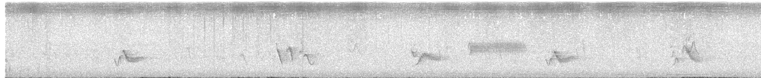 Cassin's Vireo - ML646699635