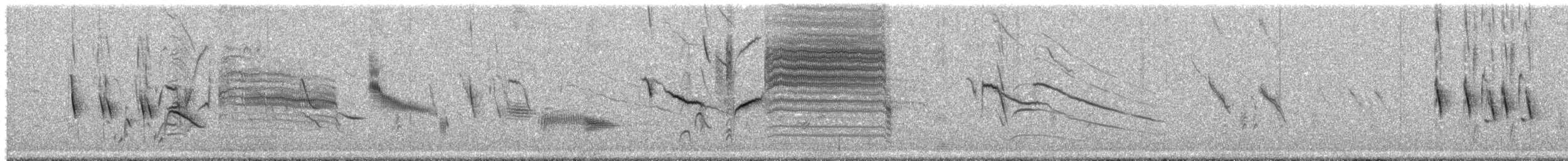 Carouge galonné - ML646700072