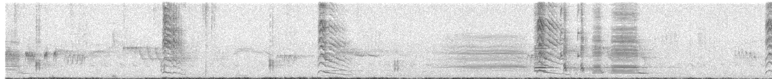 Red-naped Sapsucker - ML646700107