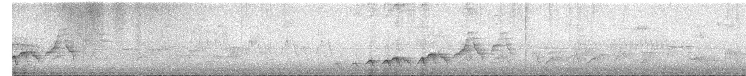 Tordo di Swainson - ML646700333