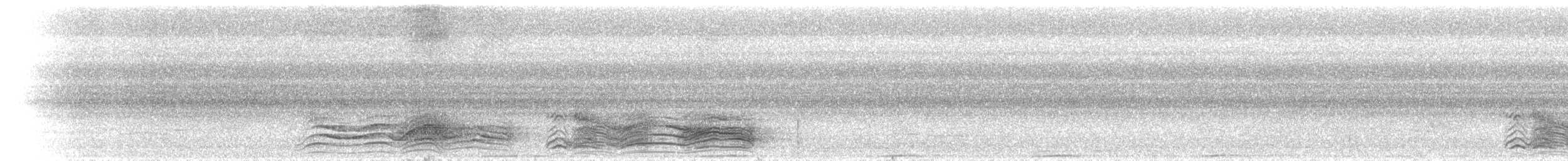 Spotted Catbird - ML646700503