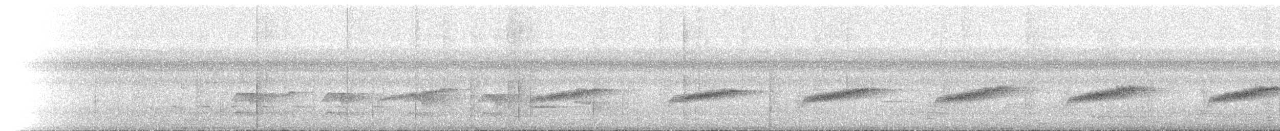 Australian Spectacled Monarch - ML646700507