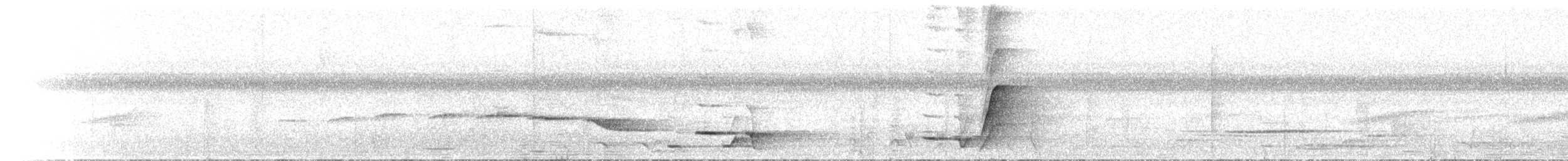 Little Shrikethrush - ML646700509