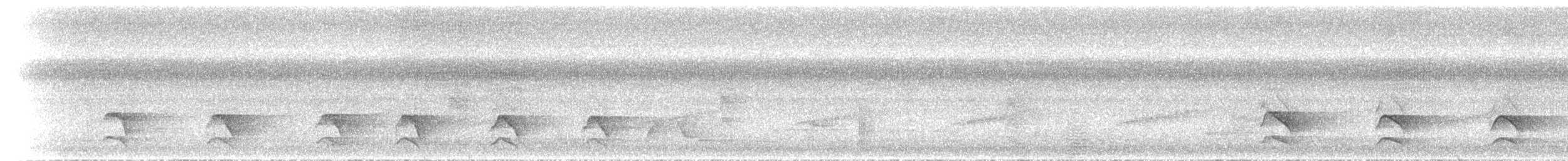 Yellow-spotted Honeyeater - ML646700512