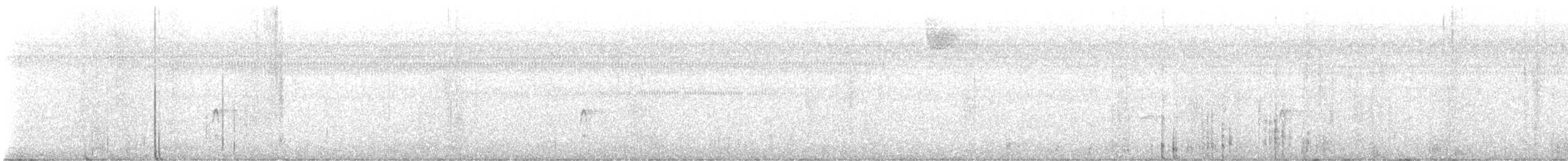 Couch's Kingbird - ML646700584