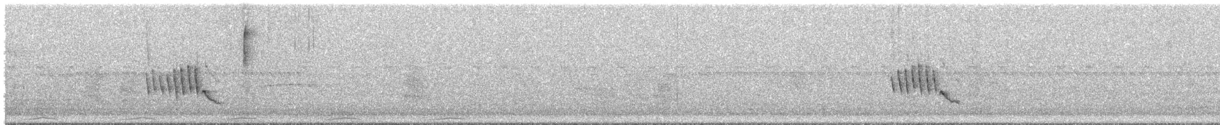 Southern House Wren - ML646700623