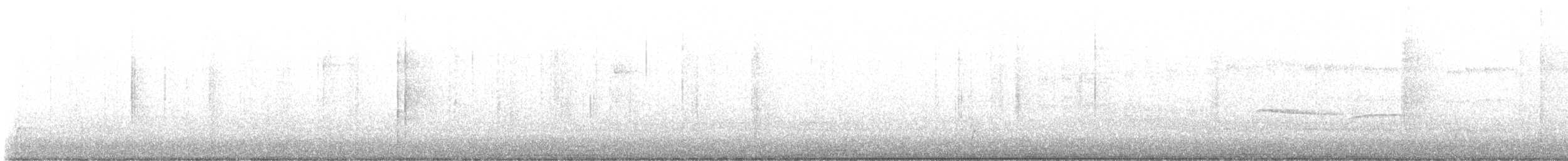 Swainson's Thrush - ML646700710