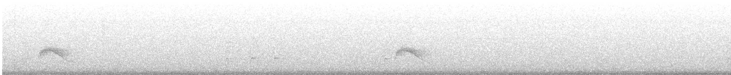 Couch's Kingbird - ML646701308