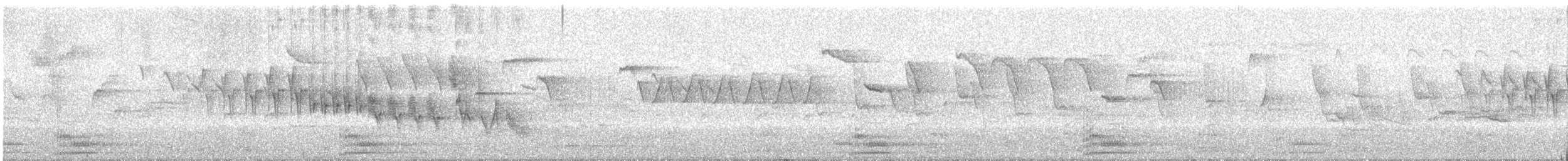 Common Raven - ML646702018