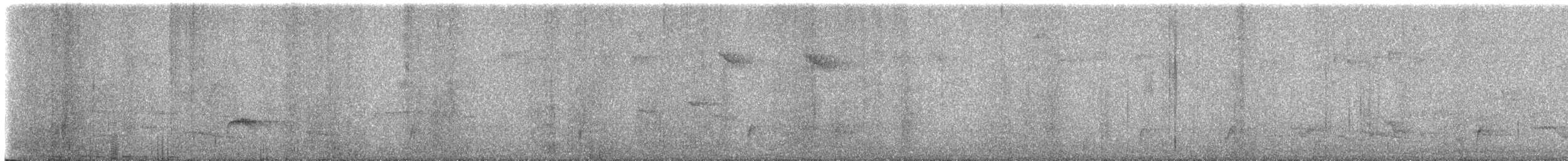 Swainson's Thrush - ML646702240