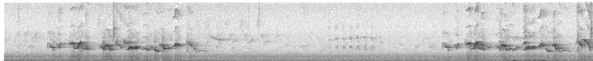 American Robin - ML646702243