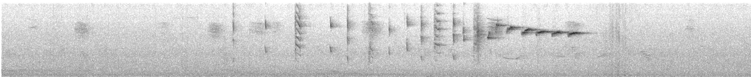 New Zealand Fantail - ML646702605