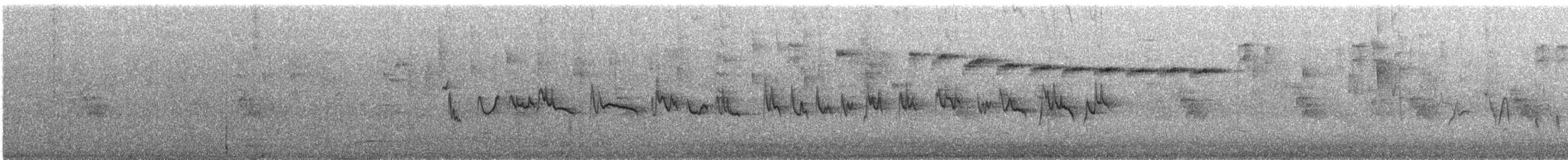 Silvereye - ML646702613