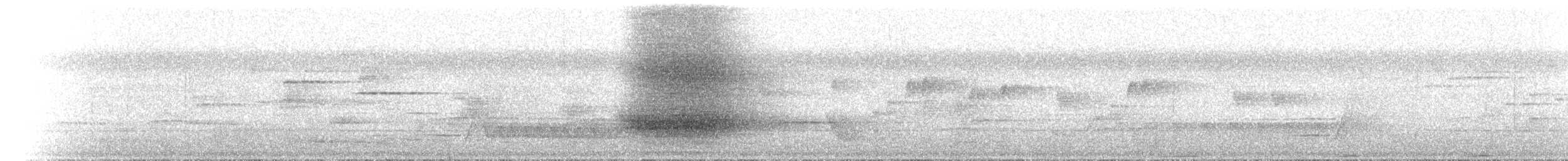 Victoria's Riflebird - ML646703442