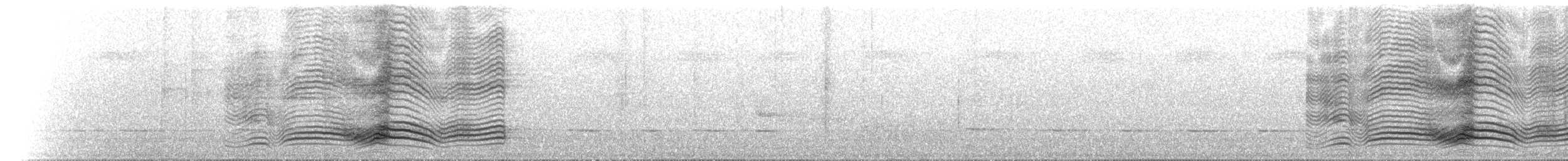 Spotted Catbird - ML646703448