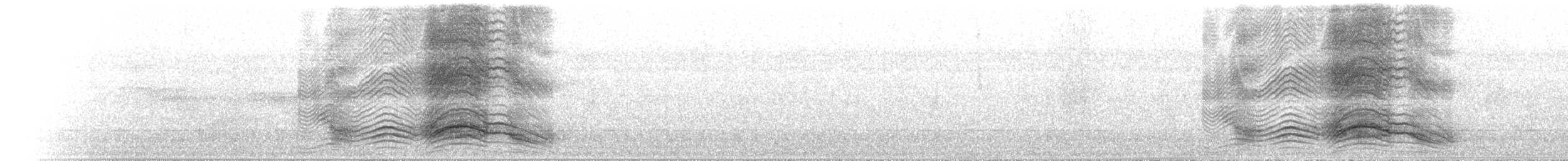 Spotted Catbird - ML646703451