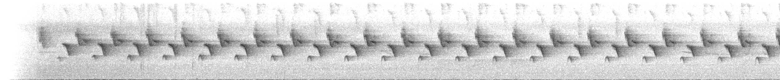 Atherton Scrubwren - ML646703456