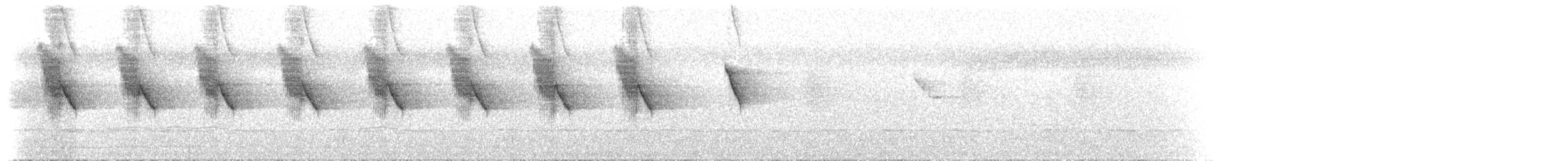 Atherton Scrubwren - ML646703459