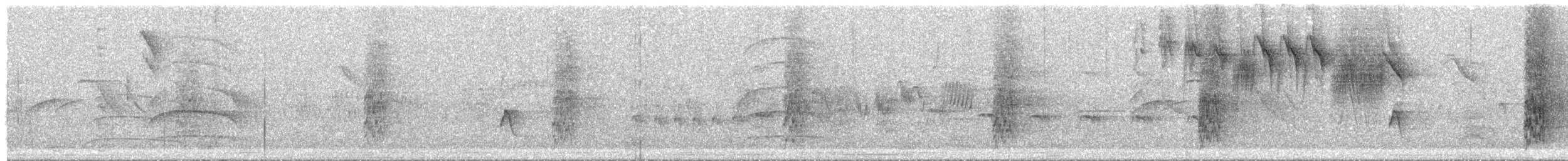 オキナインコ - ML646703723