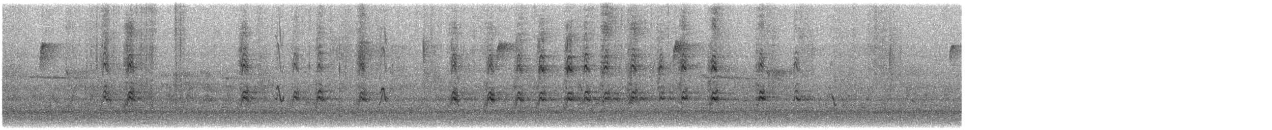 House Finch - ML646704049