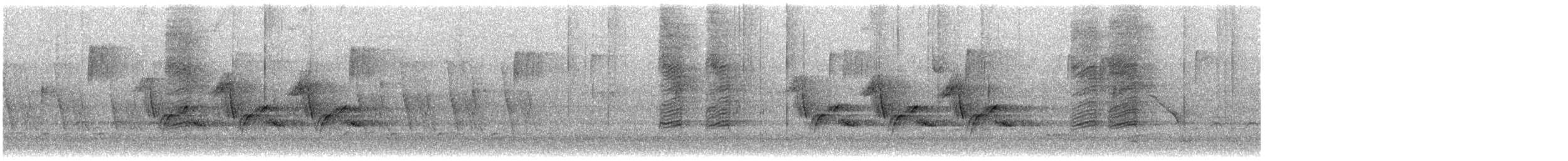 Carolina Wren - ML646704107