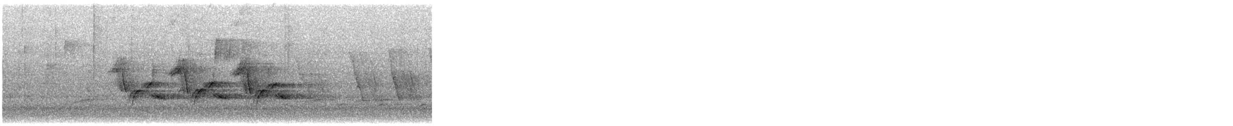 Carolina Wren - ML646704122