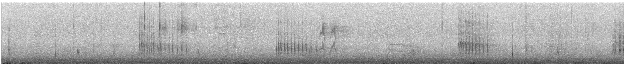 Belted Kingfisher - ML646704225