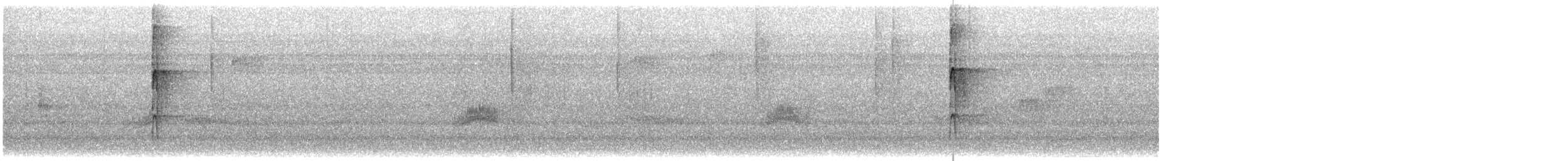 Downy Woodpecker - ML646704244