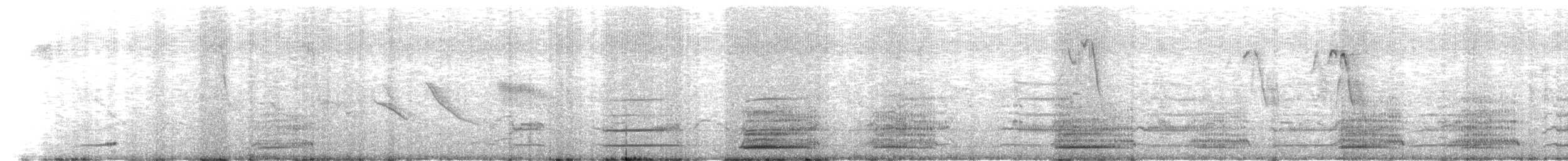 哺乳類 - ML646704778