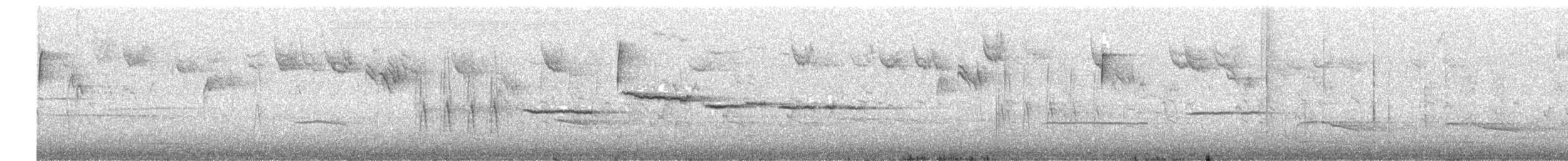 White-throated Sparrow - ML646704971