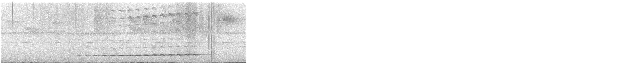 Thicket Antpitta - ML646705331