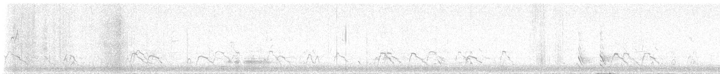 Eurasian Wigeon - ML646705339