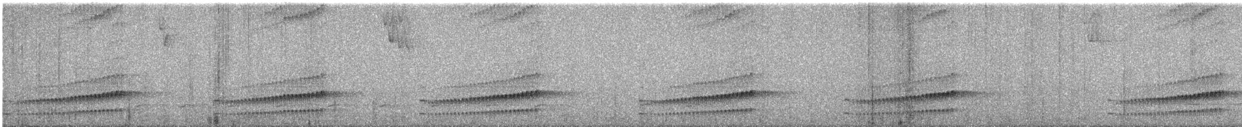 Spillmann's Tapaculo - ML646705345