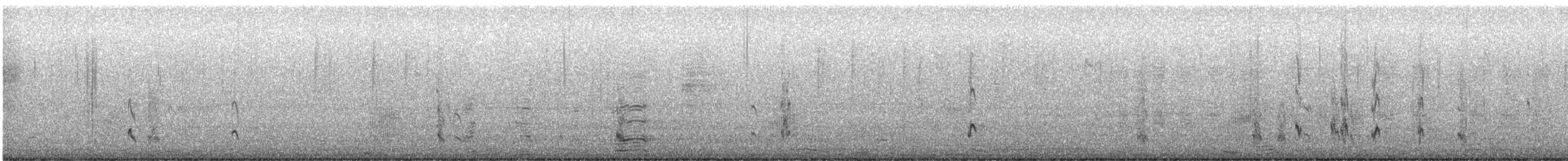 Long-billed Dowitcher - ML646705618