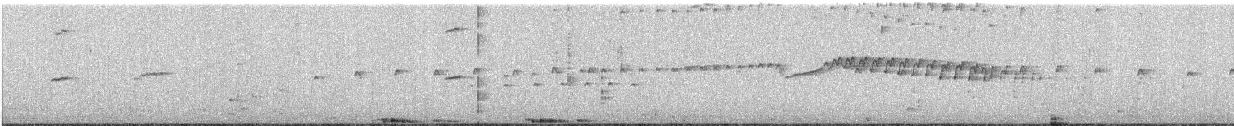 Rock Pigeon (Feral Pigeon) - ML646706239