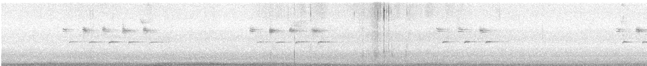 Mésange charbonnière (groupe major) - ML646706325