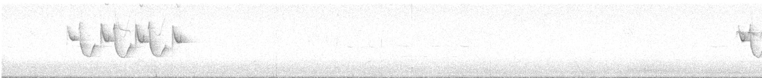 Mésange noire (britannicus/hibernicus) - ML646706336