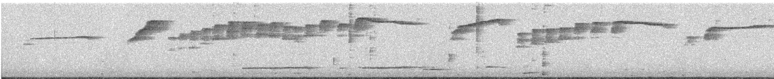 Pigeon Guillemot - ML646706490