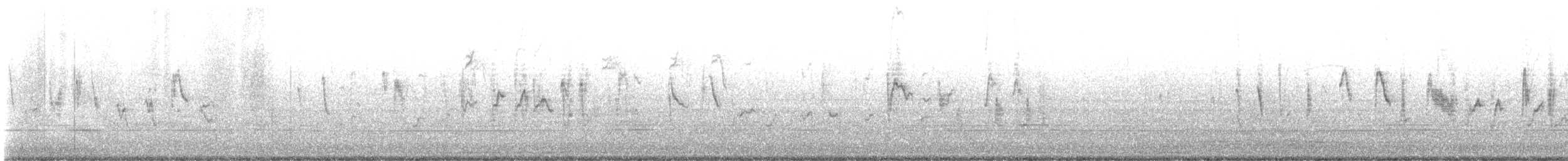 Bruant à couronne blanche - ML646706582