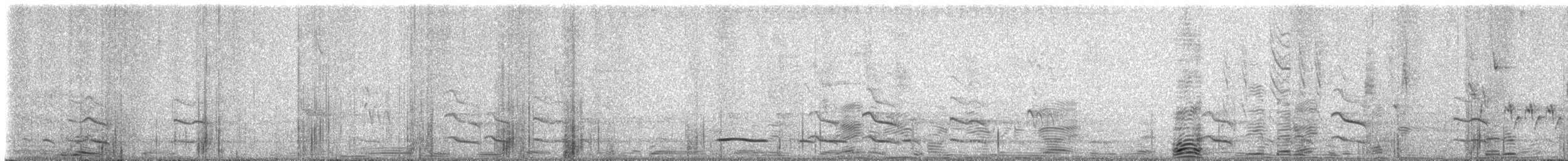 Toucan tocard - ML646706717