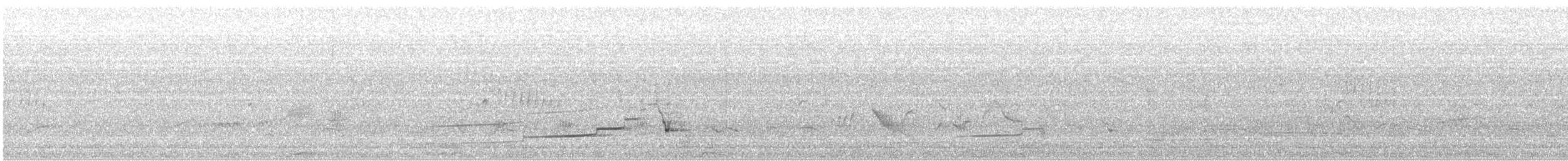 Tétraogalle du Caucase - ML646706860