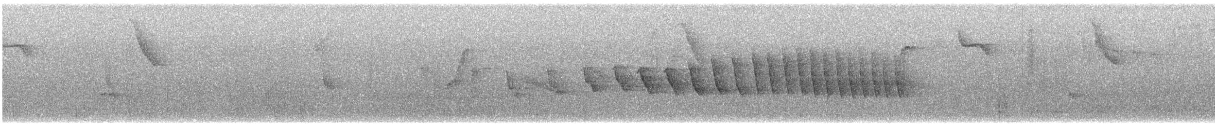 Paruline à cimier noir - ML646706998