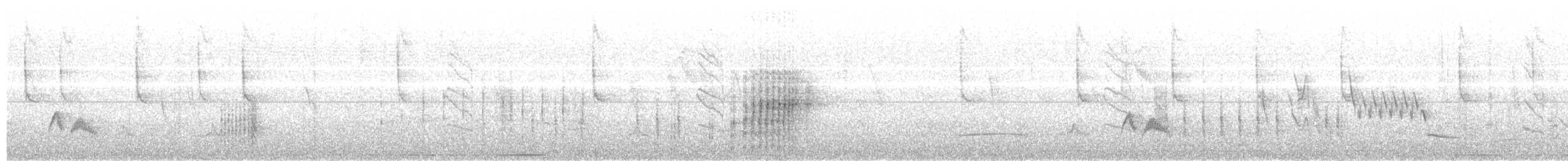 Élénie à cimier blanc - ML646707014