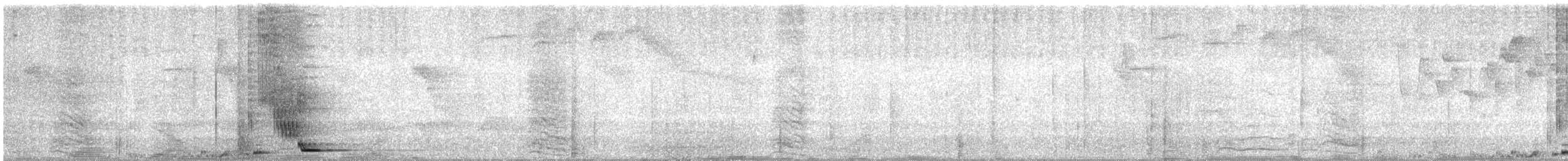 Cassique roussâtre (groupe angustifrons) - ML646707245